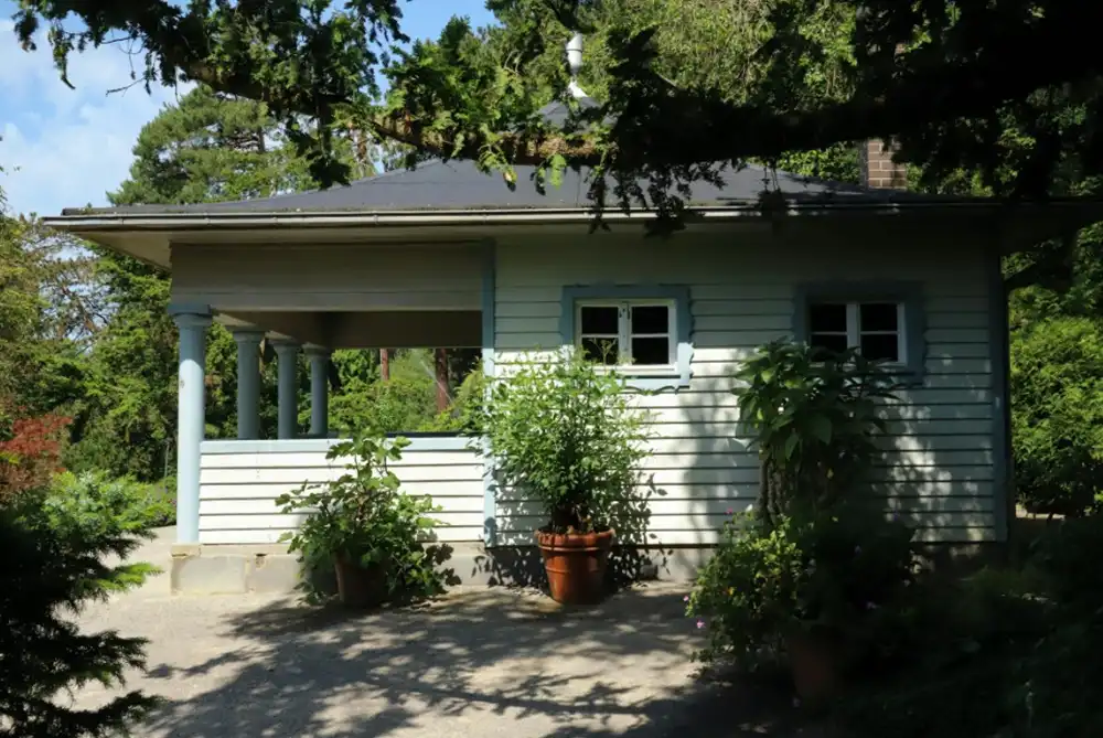 gardening, beginner, mistakes, garden tips, mulch, soil, sunlight, planting, harvest, watering