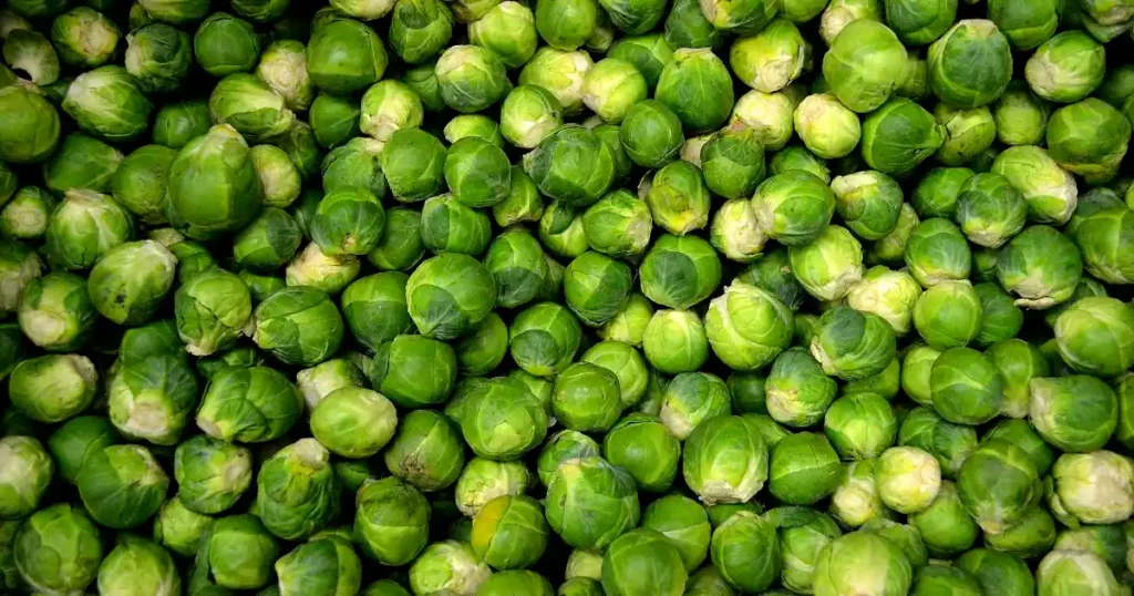 Brussels sprouts, Plant Smart, Optimal Seasons for 40 Vegetable Varieties