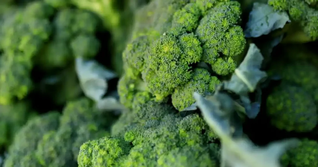 green broccoli heads, Plant Smart, Optimal Seasons for 40 Vegetable Varieties