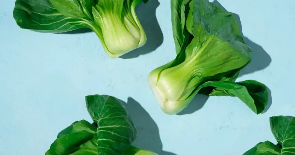 Chinese Cabbage, Plant Smart, Optimal Seasons for 40 Vegetable Varieties