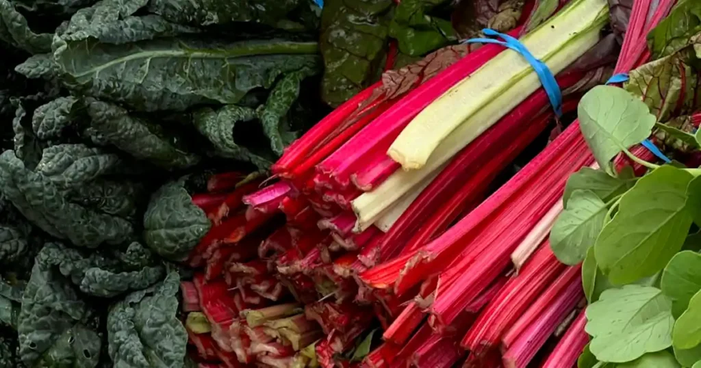 Chard and Leaf Beet, Plant Smart, Optimal Seasons for 40 Vegetable Varieties