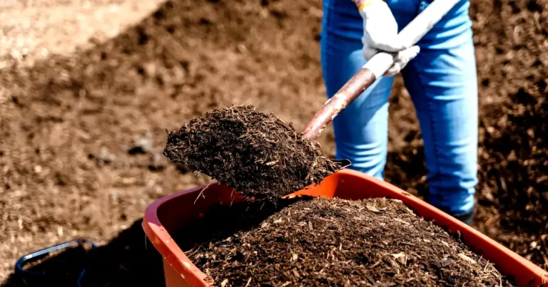 Choosing the Best Mulch: A Comprehensive Guide to Natural Mulch Types