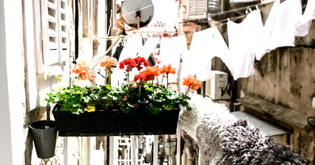 Compact balcony garden featuring silverbeet, lettuce, and cherry tomato plants in deep containers
