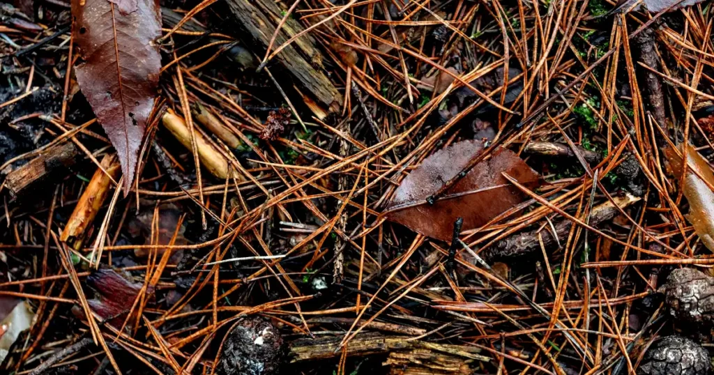 best mulch types, how to use mulch, when to add mulch, when mulching my garden