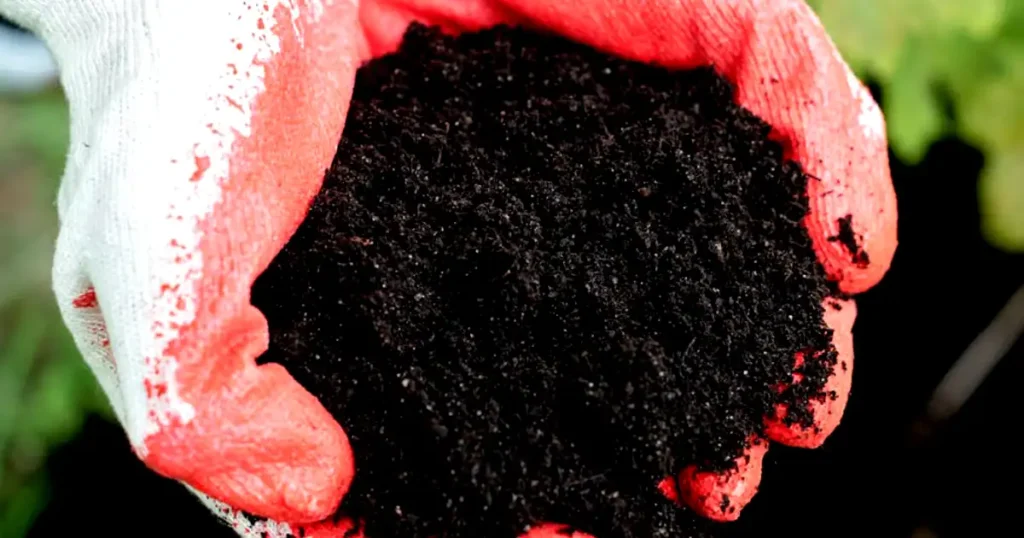 best mulch types, how to use mulch, when to add mulch, when mulching my garden