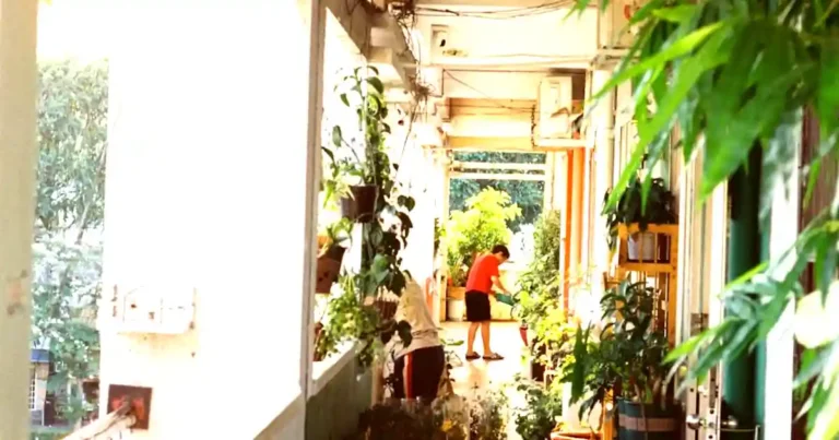 Balcony Vegetable Gardening: Best Crops and Tips for Small Spaces