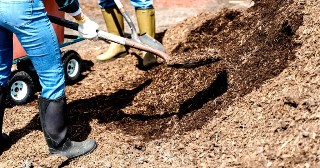best mulch types, how to use mulch, when to add mulch, when mulching my garden